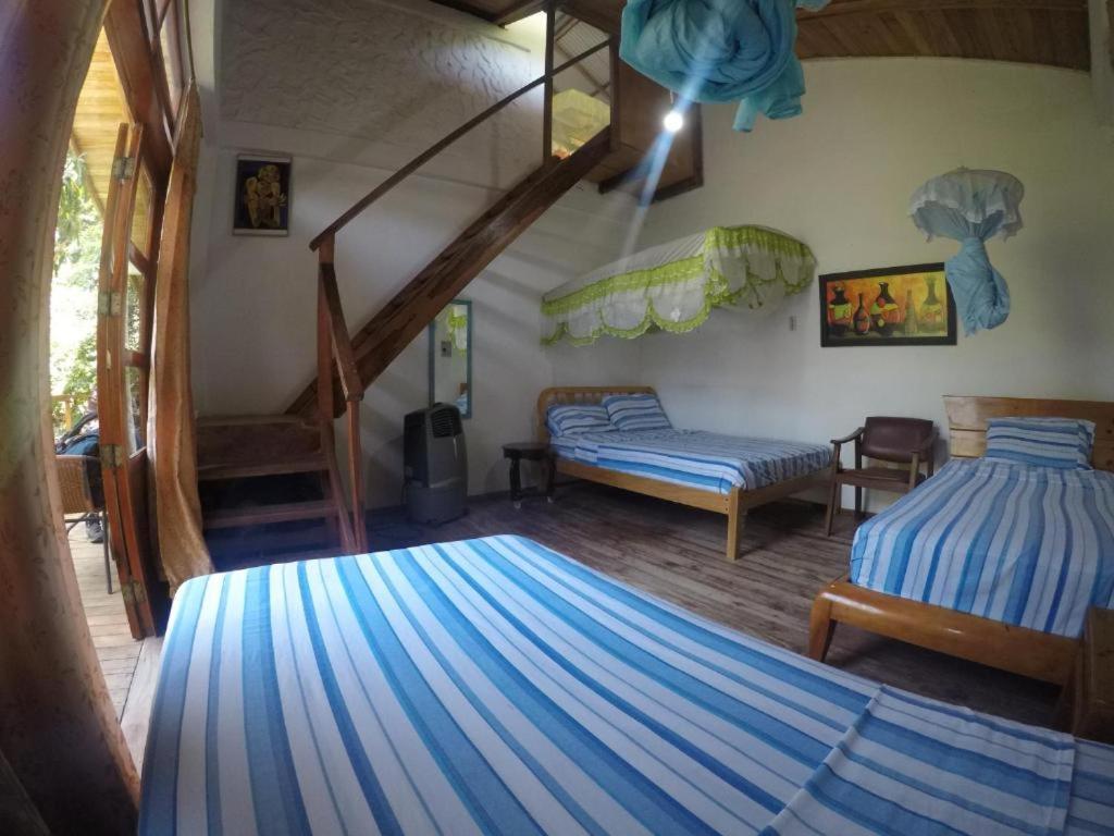 Bed And Breakfast Puerto López エクステリア 写真