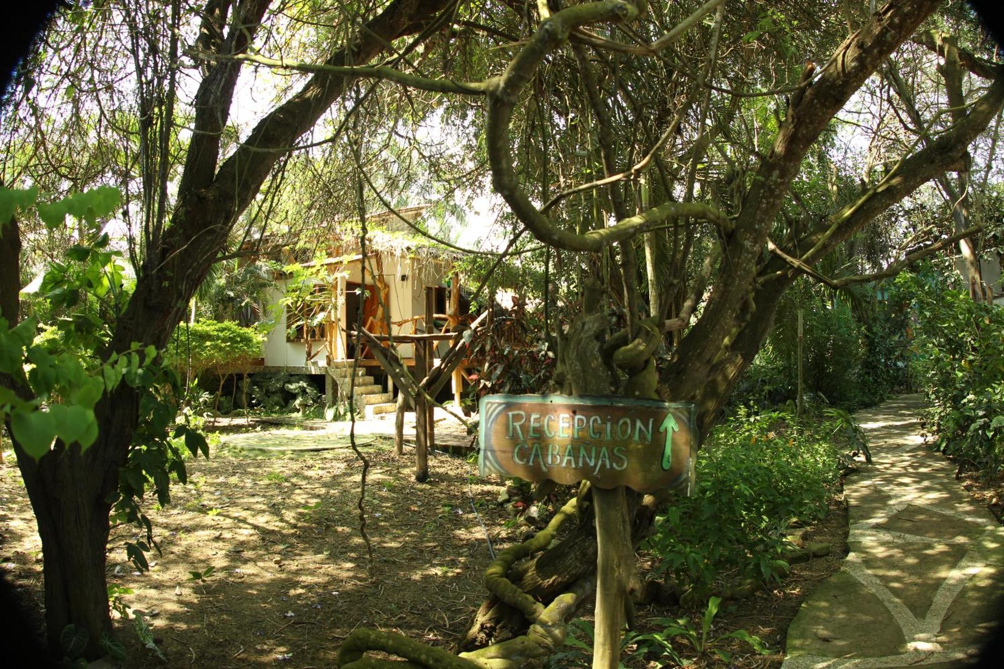 Bed And Breakfast Puerto López エクステリア 写真
